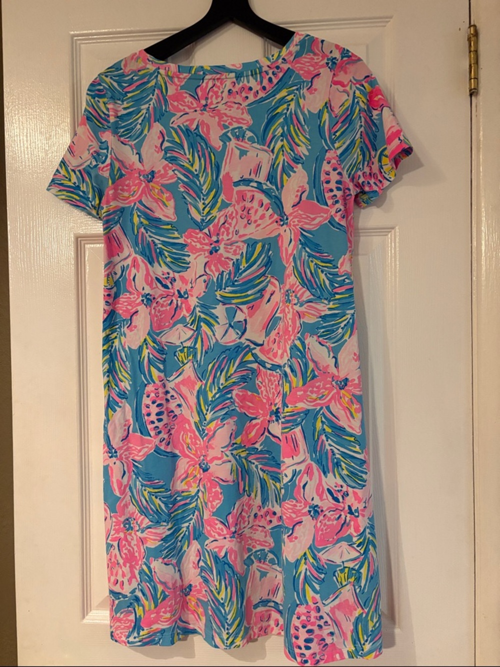 Lilly Pulitzer Dress - Picture 3 of 4